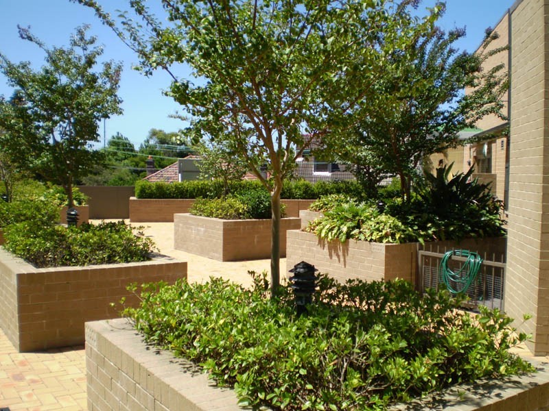 115-117 Constitution Road, Dulwich Hill NSW 2203