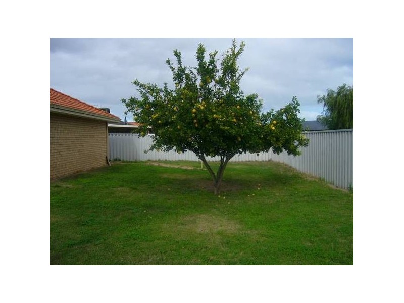 Coronata Drive, Warnbro WA 6169