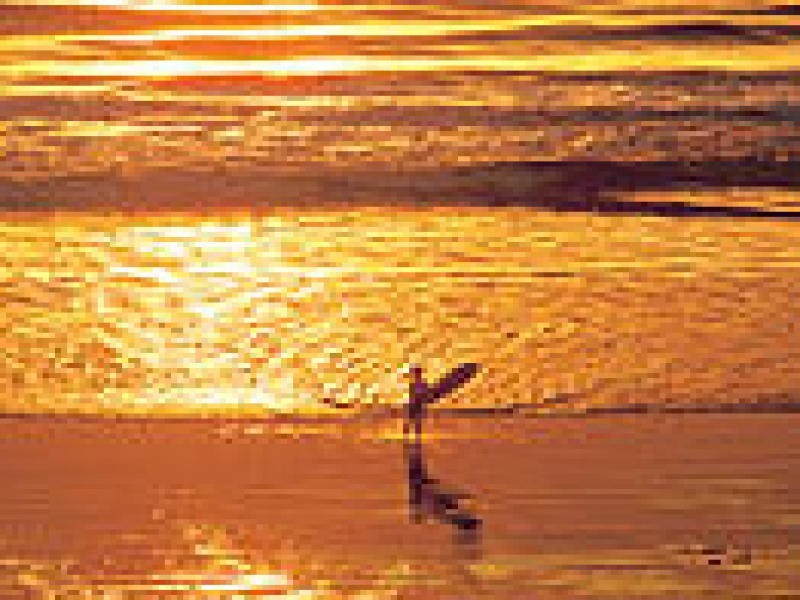 16 Gantheaume Parade, Secret Harbour WA 6173