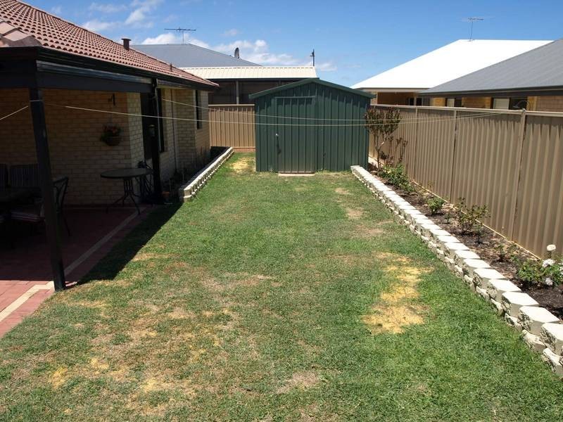 3 CARBINE WAY, Munster WA 6166