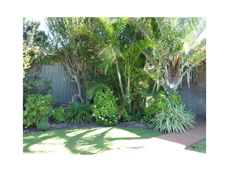 12 Denham Street, Spearwood WA 6163