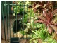 12 Denham Street, Spearwood WA 6163