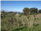 Lot 330,  NEMAGOLD GROVE, Coogee WA 6166