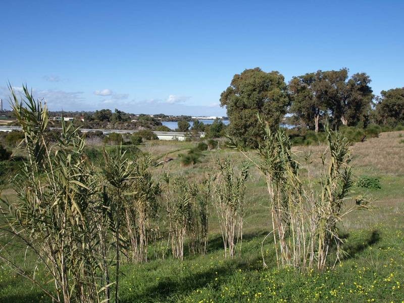 Lot 330,  NEMAGOLD GROVE, Coogee WA 6166