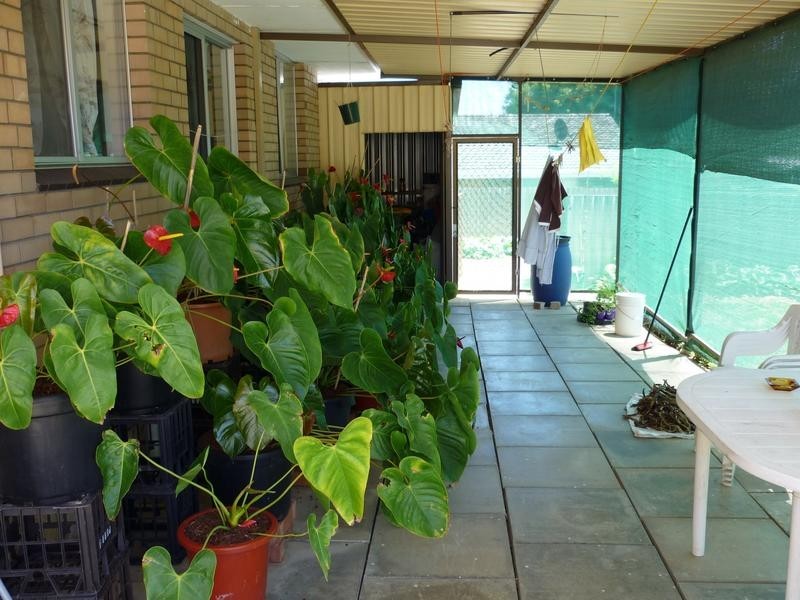 52 March Street, Spearwood WA 6163