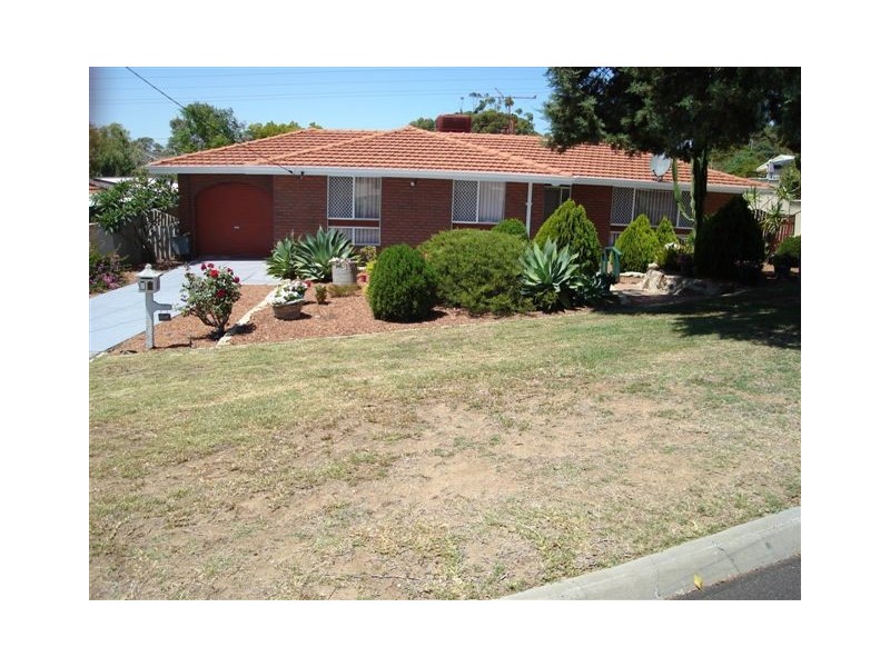 9 Pagneil Court, Hamilton Hill WA 6163