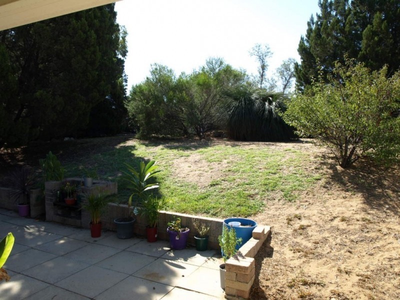 16 NINEHAM AVE, Spearwood WA 6163