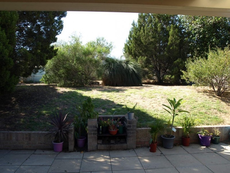 16 NINEHAM AVE, Spearwood WA 6163