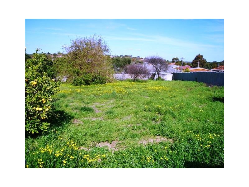 21 Edeline Street, Spearwood WA 6163