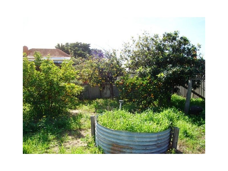 21 Edeline Street, Spearwood WA 6163