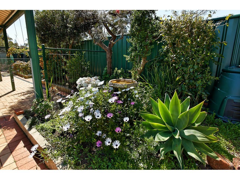 10 Fabales Close, Beeliar WA 6164