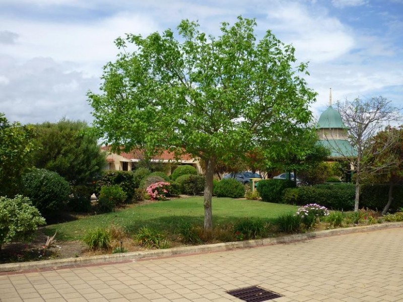 23/27 Goongarrie Drive, Waikiki WA 6169