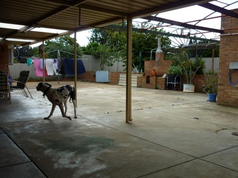 62 Barrington Street, Spearwood WA 6163