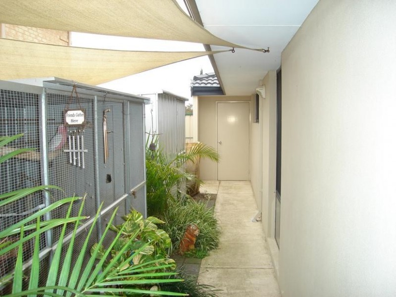 14 Calytrix Crescent, Success WA 6164
