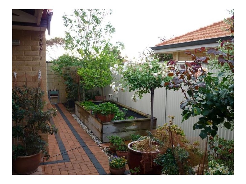 11/15 Cliffwood Place, Waikiki WA 6169