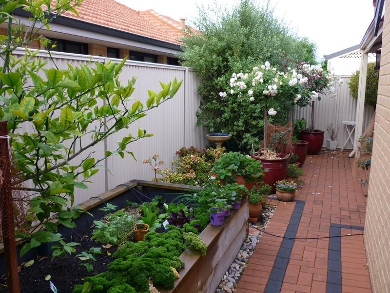 11/15 Cliffwood Place, Waikiki WA 6169