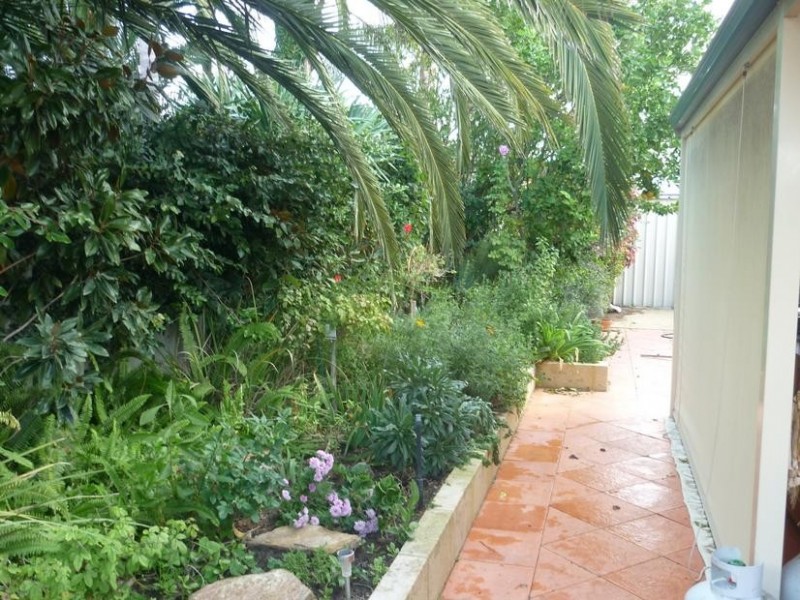 9 McKenzie Street, Samson WA 6163