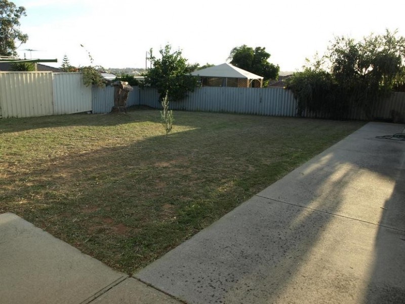 16 MILTON PLACE, Munster WA 6166