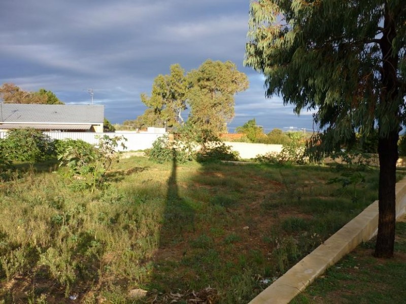 55 Bourbon Street, Hamilton Hill WA 6163