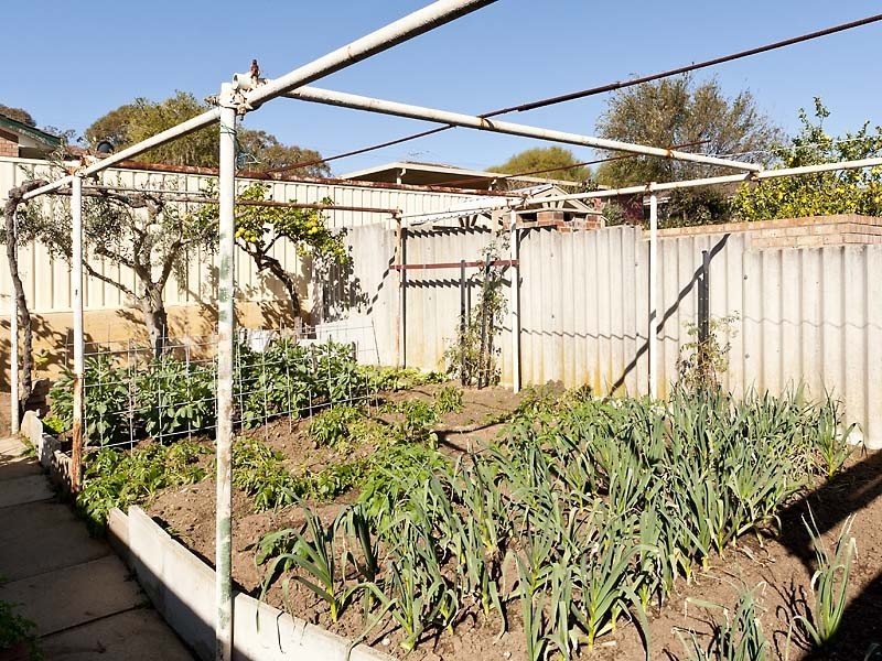 81 Leaside Way, Spearwood WA 6163