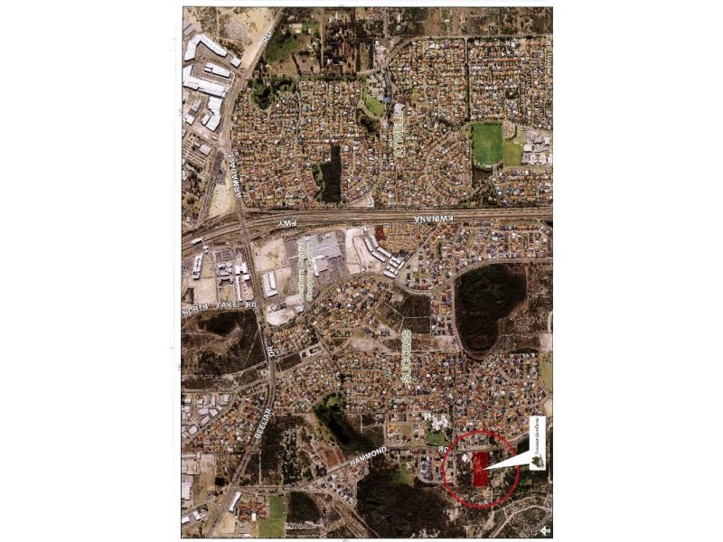 264 Hammond Road, Success Gardens Estate, Success WA 6164 Davies