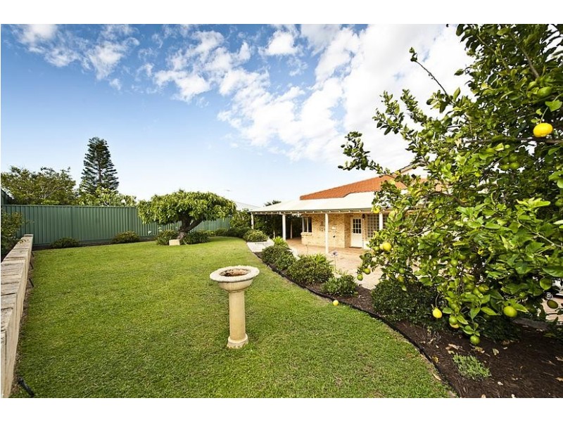 10 Trellis Place, Spearwood WA 6163