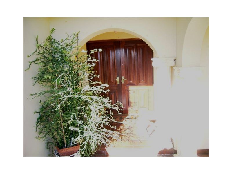 4 Shallow Street, Spearwood WA 6163