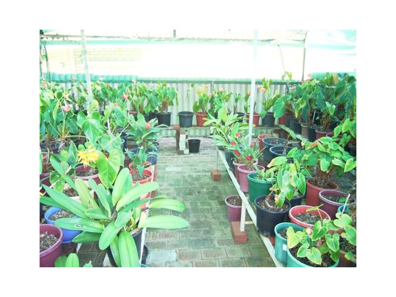 4 Shallow Street, Spearwood WA 6163