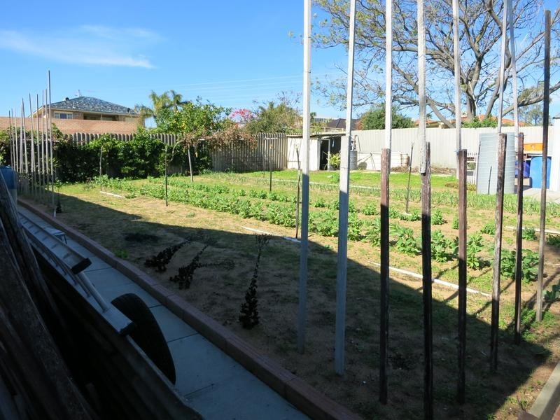 79 Forrest Road, Hamilton Hill WA 6163