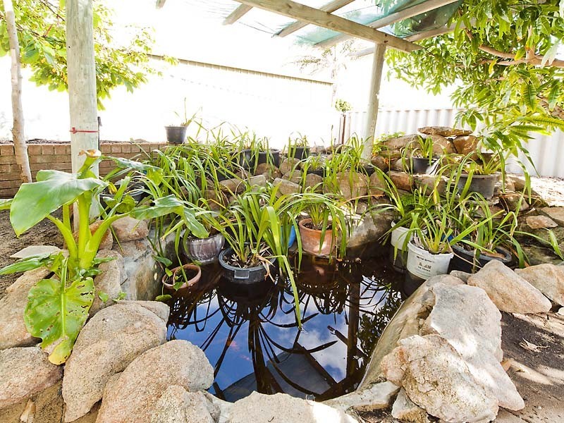 66 Turfan Way, Munster WA 6166