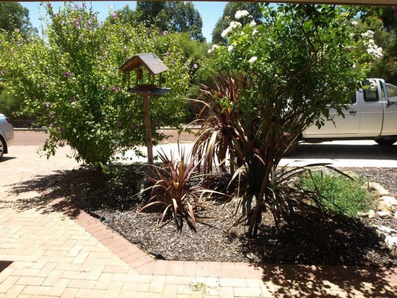 36 GUMINA PLACE, Munster WA 6166