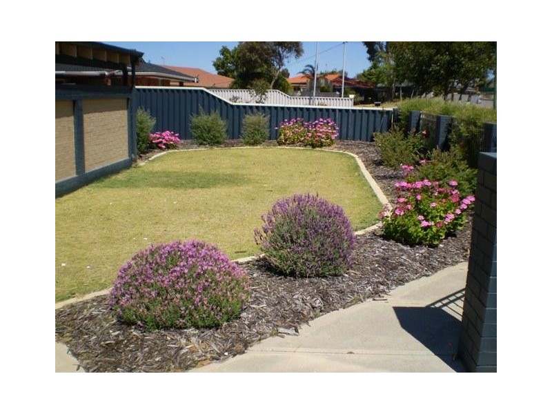 37 ERPINGHAM ROAD, Hamilton Hill WA 6163