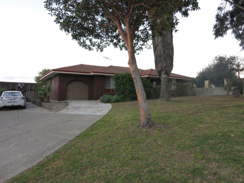 19 Thackeray Street, Spearwood WA 6163