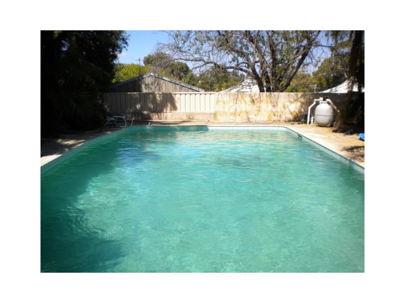 17 Wheeler Road, Hamilton Hill WA 6163