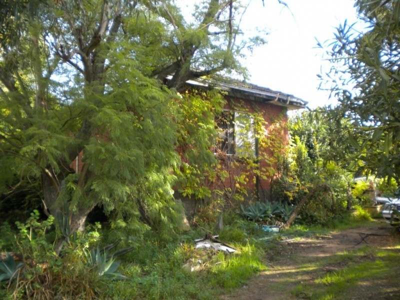 17 Hood Street, Hamilton Hill WA 6163