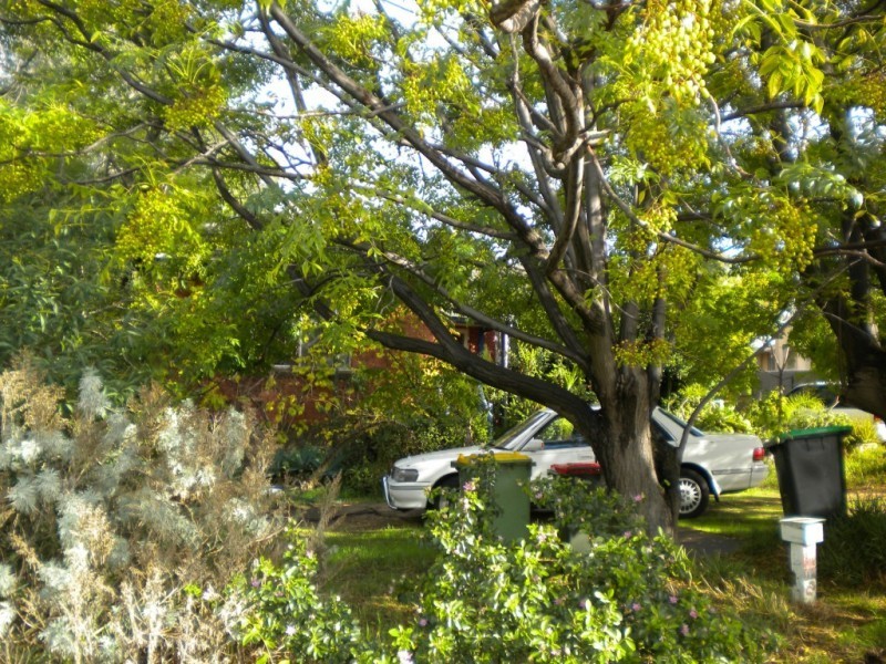 17 Hood Street, Hamilton Hill WA 6163