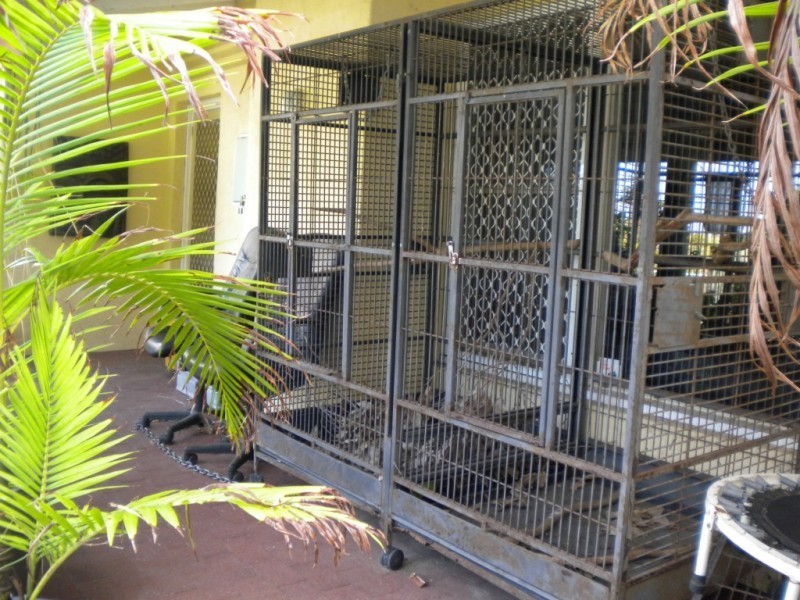 11 Schofield Street, Hamilton Hill WA 6163