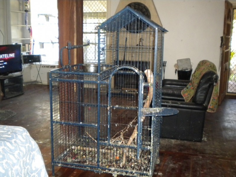 11 Schofield Street, Hamilton Hill WA 6163