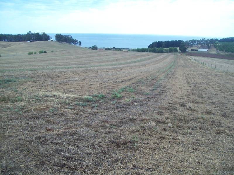 85 Lillico Road, Lillico TAS 7310