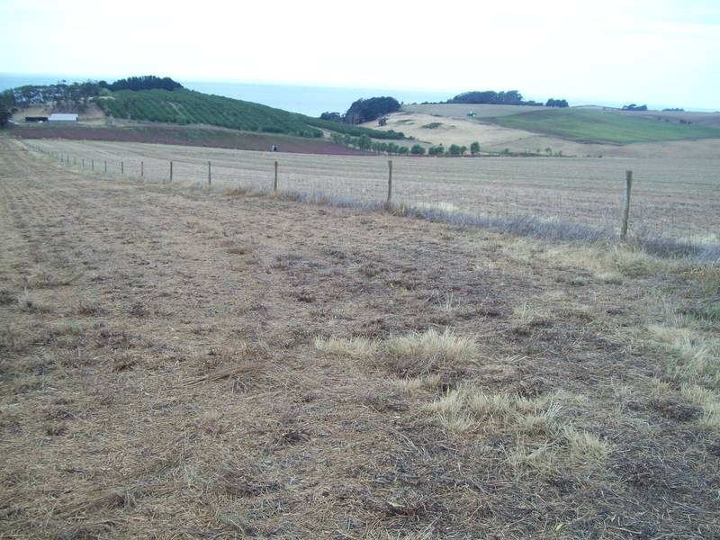 85 Lillico Road, Lillico TAS 7310
