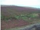 85 Lillico Road, Lillico TAS 7310