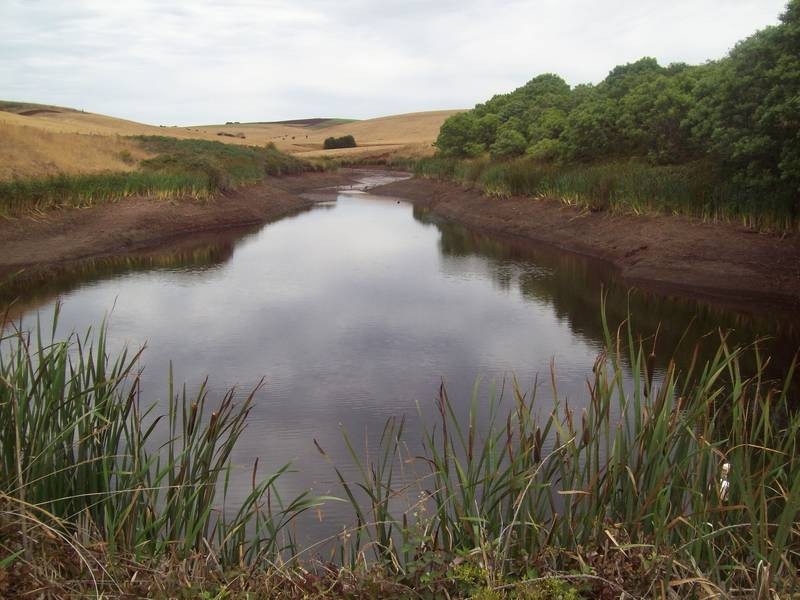 85 Lillico Road, Lillico TAS 7310