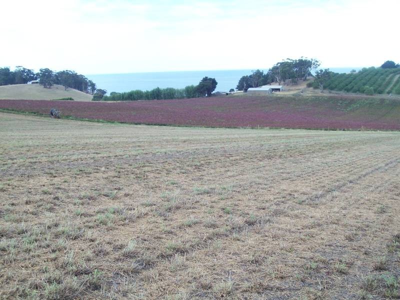 85 Lillico Road, Lillico TAS 7310
