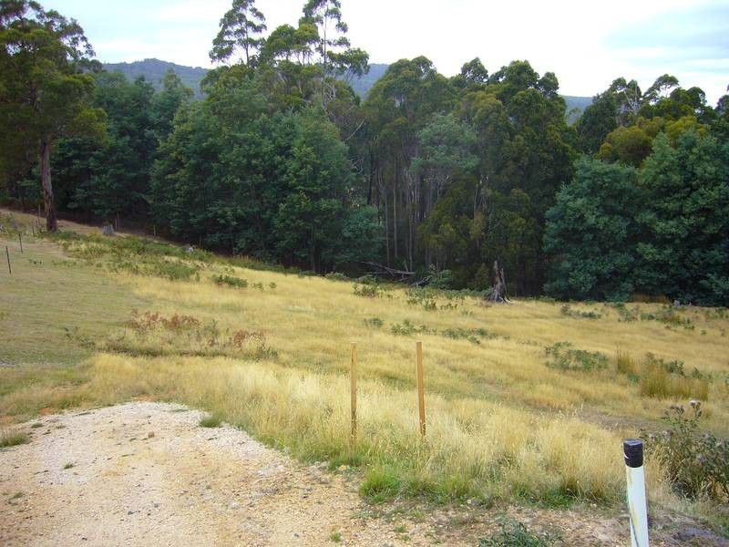 54 Roope Road, Lower Barrington TAS 7306