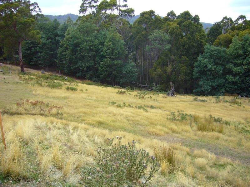 54 Roope Road, Lower Barrington TAS 7306