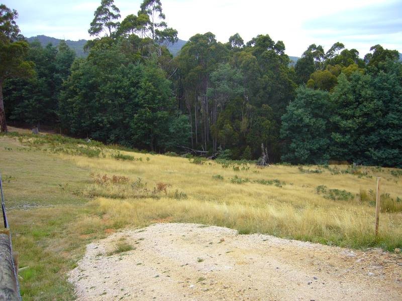 54 Roope Road, Lower Barrington TAS 7306