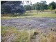 Lot 2, 17 Leake Street, Railton TAS 7305
