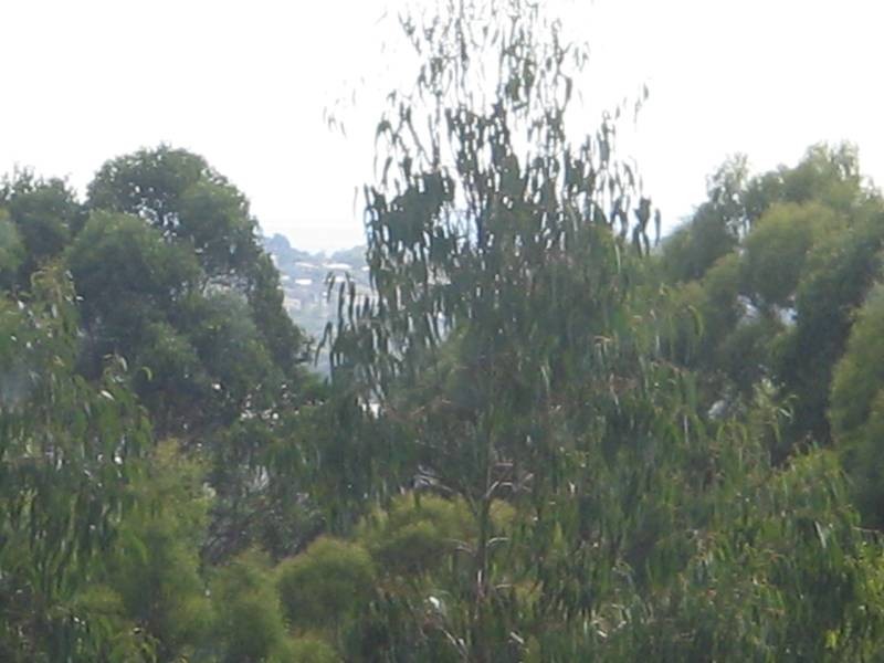 127 Kelcey Tier Road, Spreyton TAS 7310