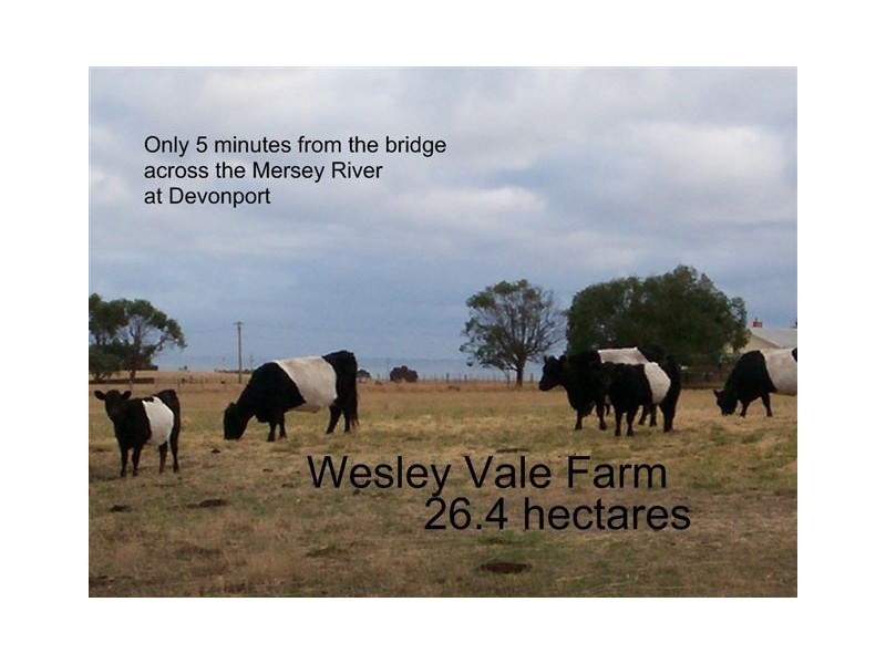 105 Blacks Road, Wesley Vale TAS 7307