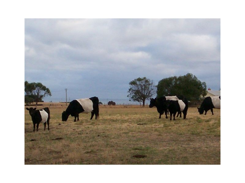 105 Blacks Road, Wesley Vale TAS 7307